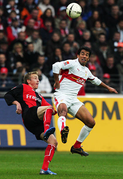 为一项新兴 为一项新兴